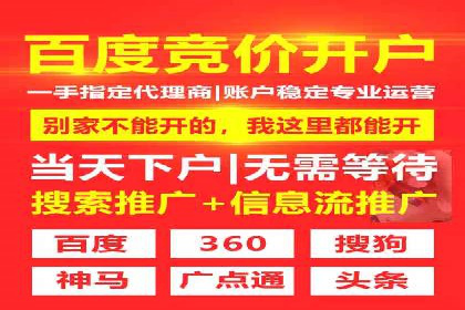 谷歌SEM广告策略：某电商平台的成功逆袭案例